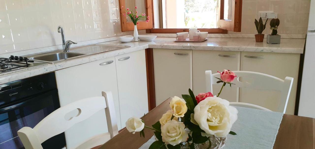 Villa Bouganville Valledoria  Zewnętrze zdjęcie